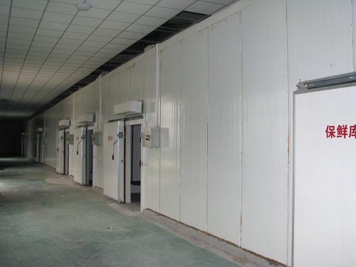 遂平領鑫農業(yè)有限公司冷庫